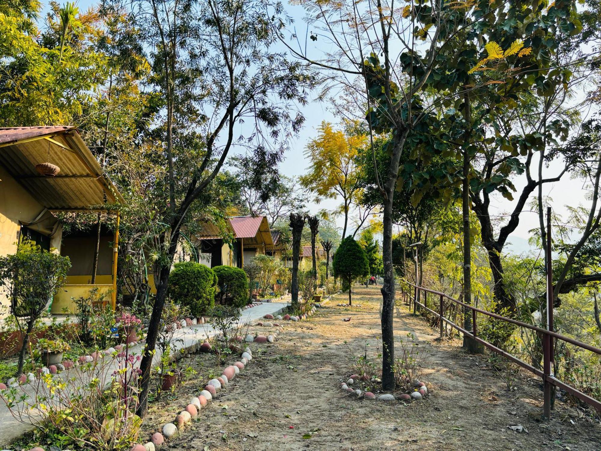 Hotel Camp High 5 Jayalgarh Dāngchura Exterior foto